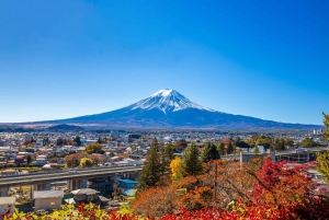 Tokyo: Mount Fuji Day Tour, Oshino Hakkai, Lake Kawaguchi