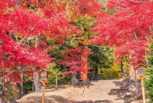 Tokyo: Mount Fuji Day Tour, Oshino Hakkai, Lake Kawaguchi