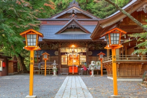 Tokyo: Mount Fuji Day Tour, Oshino Hakkai, Lake Kawaguchi