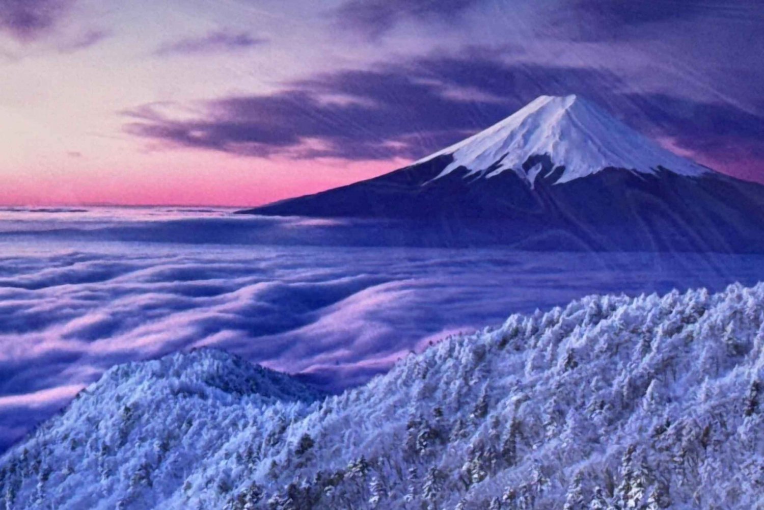 Tour privado personalizable de día completo al monte Fuji desde Tokio