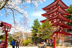 Tokyo: Monte Fuji Tour privato di un giorno intero con visita guidata