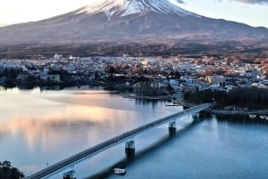 Tokyo: Monte Fuji Tour privato di un giorno intero con visita guidata