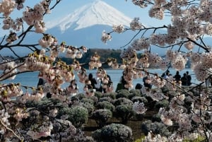 Tokyo: Monte Fuji Tour privato di un giorno intero con visita guidata