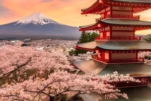 Tokyo: Monte Fuji Tour privato di un giorno intero con visita guidata