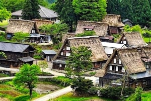 東京富士山一日プライベート観光ガイドツアー