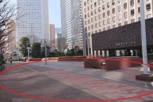 Tokyo: dagsutflykt till Fuji, Gotemba Outlet och Hakone