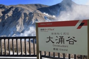 Tokyo: dagsutflykt till Fuji, Gotemba Outlet och Hakone