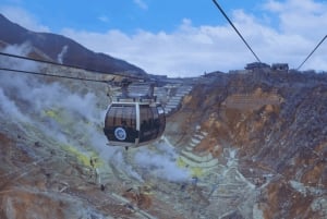 Tokyo: dagsutflykt till Fuji, Gotemba Outlet och Hakone