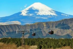 Tokyo: dagsutflykt till Fuji, Gotemba Outlet och Hakone