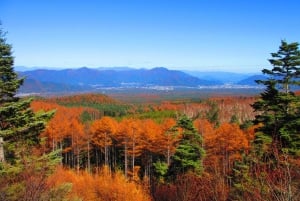 Tokyo: dagsutflykt till Fuji, Gotemba Outlet och Hakone