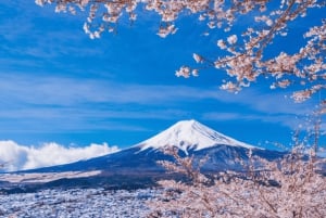 Tokyo: dagsutflykt till Fuji, Gotemba Outlet och Hakone
