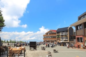 Tokyo: dagsutflykt till Fuji, Gotemba Outlet och Hakone