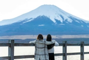 Tokio: Fuji-vuori ja Hakone -päiväretki englanninkielisen kuljettajan kanssa