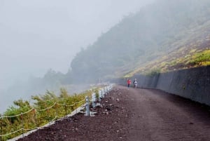 Tokio: Fuji-vuori ja Hakone -päiväretki englanninkielisen kuljettajan kanssa