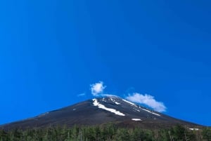 Tokio: Fuji-vuori ja Hakone -päiväretki englanninkielisen kuljettajan kanssa