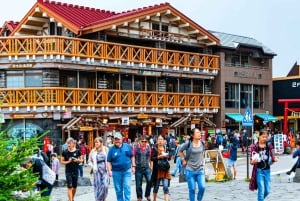 Tokio: Fuji-vuori ja Hakone -päiväretki englanninkielisen kuljettajan kanssa