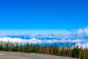 Tokio: Fuji-vuori ja Hakone -päiväretki englanninkielisen kuljettajan kanssa