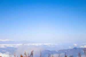 Tokio: Fuji-vuori ja Hakone -päiväretki englanninkielisen kuljettajan kanssa