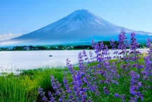 Tokio: Fuji-vuori ja Hakone -päiväretki englanninkielisen kuljettajan kanssa