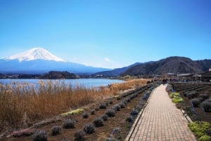 Tokio: Fuji-vuori ja Hakone -päiväretki englanninkielisen kuljettajan kanssa