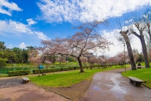 Tokio: Fuji-vuori ja Hakone -päiväretki englanninkielisen kuljettajan kanssa