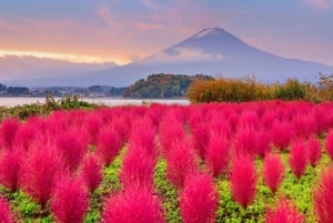 Tokio: Fuji-vuori ja Hakone -päiväretki englanninkielisen kuljettajan kanssa