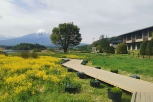 Tokio: Fuji-vuori ja Hakone -päiväretki englanninkielisen kuljettajan kanssa