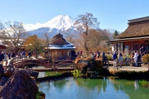 Tokio: Fuji-vuori ja Hakone -päiväretki englanninkielisen kuljettajan kanssa