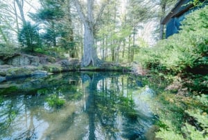 Tokio: Fuji-vuori ja Hakone -päiväretki englanninkielisen kuljettajan kanssa