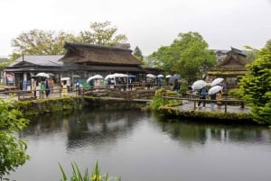 Tokio: Fuji-vuori ja Hakone -päiväretki englanninkielisen kuljettajan kanssa