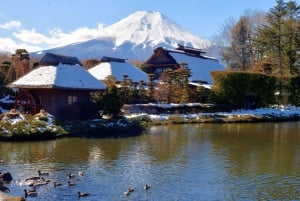 Tokio: Fuji-vuori ja Hakone -päiväretki englanninkielisen kuljettajan kanssa