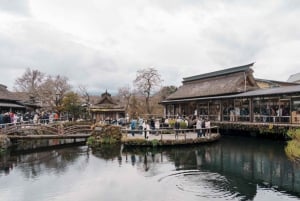 Tokio: Fuji-vuori ja Hakone -päiväretki englanninkielisen kuljettajan kanssa