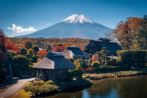 Tokio: Fuji-vuori ja Hakone -päiväretki englanninkielisen kuljettajan kanssa