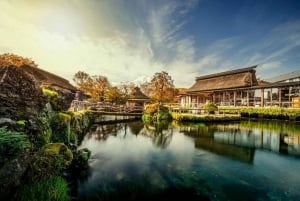 Tokio: Fuji-vuori ja Hakone -päiväretki englanninkielisen kuljettajan kanssa