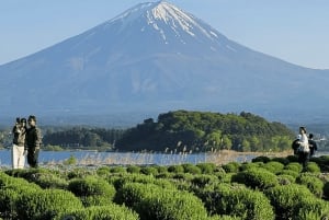 Токио: Гора Фудзи и Хаконе Частный индивидуальный тур на целый день