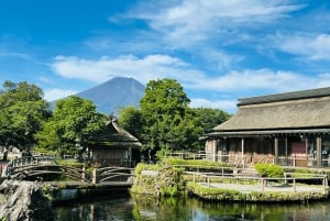 Токио: Гора Фудзи и Хаконе Частный индивидуальный тур на целый день