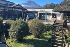 Tokyo: Tour privato del Monte Fuji e di Hakone