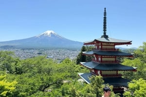 Tokyo: Tour privato del Monte Fuji e di Hakone