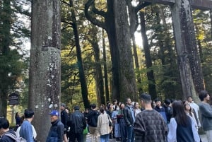 Tokyo: Tour privato del Monte Fuji e di Hakone