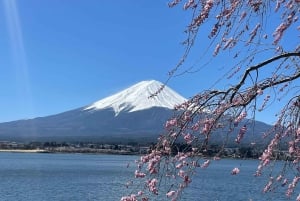 Tokyo: Tour privato del Monte Fuji e di Hakone
