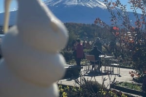 Tokyo: Tour privato del Monte Fuji e di Hakone