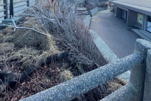 Tokyo: Tour privato del Monte Fuji e di Hakone