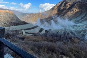 Tokyo: Tour privato del Monte Fuji e di Hakone