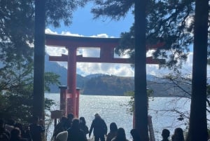 Tokyo: Tour privato del Monte Fuji e di Hakone