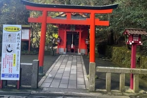 Tokyo: Tour privato del Monte Fuji e di Hakone