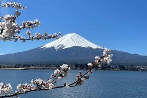 Tokyo: Tour privato del Monte Fuji e di Hakone