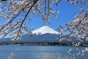 Tokyo: Mount fuji & Hakone Private Day Tour