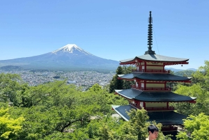 Tokyo: Mount fuji & Hakone Private Day Tour