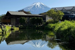 Tokyo: Mount fuji & Hakone Private Day Tour
