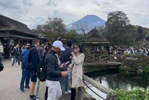 Tokyo: Mount fuji & Hakone Private Day Tour